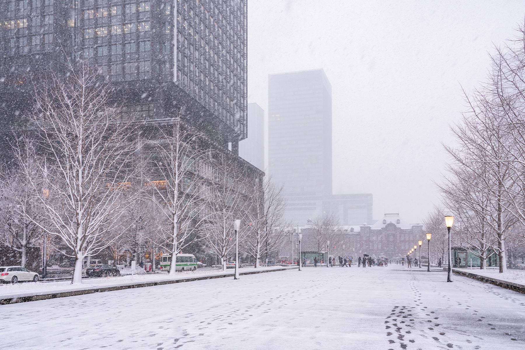 東京に初雪が降りました！